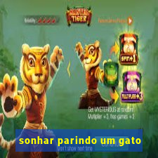 sonhar parindo um gato